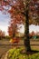 red shopping cart under autumn tree at Sunset Square Shopping Center.