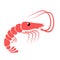 Red shrimp hand drawing stock vector design illustration