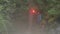 Red signal flare in a hand of young scared man hiker lost in dense forest in the evening. Stock footage. Traveler making