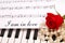 Red silky rose with musical notes