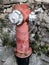 Red and silver fire hydrant