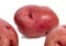 Red skin potatoes on a white background