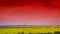 Red sky and rapeseed