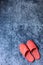 Red slipper shoe on blue carpet floor softness mat