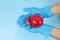 Red smile heart, human organ in hand palm wearing blue medical on gloves on blue background, Healthcare hospital service concept