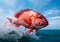 Red Snapper jumping out of the ocean water. Ai generative