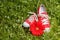 Red sneakers with gerbera flower