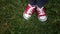 red sneakers on green grass, top view