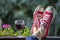 Red sneakers on the legs of a woman and a glass of wine against the background of nature