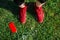 Red sneakers, phone and walkmans on grass