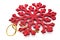 Red snowflake decoration