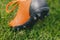 Red soccer cleats on grass sports field