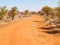 Red soil base to track winding through South African bush