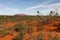 Red soil in Red Center