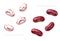 Red speckled kidney and crimson cranberry beans isolated on white background. Top view