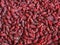 Red spicy barberries background