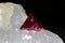 Red spinel crystal, uncut, in white host rock. Black background.