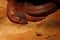 Red Spitting Cobra lying in sand