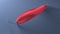 Red spoon lure