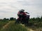 Red sport bike in farm