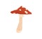 Red-spotted fly agaric or amanita. Beautiful mushroom with inedible dotted cape. Hand-drawn colored flat textured vector
