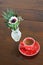 Red spotty mug and anemone