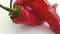 red spray pepper on a white background pouring water