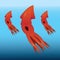 red squid underwater. Vector illustration decorative design