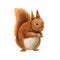 Red squirrel animal. Watercolor hand drawn illustration. Cute funny rodent with fluffy fur. Forest and park tree animal