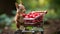 Red squirrel collects raspberries in a small shopping cart in the forest