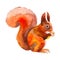 Red squirrel with nuts. Hand-drawn. Autumn in the forest. Watercolor illustration
