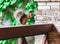 Red squirrel sits on hind legs on railing of veranda