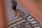 Red squirrel sits on wooden floor of veranda