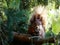 Red squirrel sitting in a tree and eating