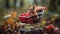 Red squirrel in a small shopping cart with berries on a background of autumn leaves.