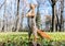 Red squirrel standing upright on grass against blurred park back