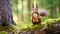 Red Squirrel Stands Tall In The Forest