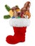 Red st nicholas day boot filled with chocolate santa claus cookies gingerbread cinnamon stars orange and green fresh fir branches