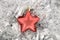 Red star, christmas decoration on silver tinsel