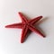 Red Starfish in a Closeup Photo