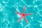 Red starfish floating on clean turquoise water