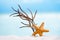 Red starfish with ocean, white sand beach, sky and seascape