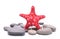 Red Starfish over group of stones on white background