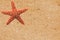 Red starfish over yellow sand