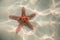 Red starfish resting on the bottom of Indian Ocean