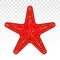 Red starfish / sea stars flat icon for apps and websites