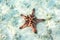 Red starfish in shallow water of tropical sea.