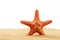 Red starfish standing in sea sand on white background