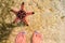 Red starfish and woman in sea water. Seaside with white sand. Sea sand top view with female feet.