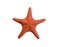 Red starfish wooden goldfish For home decoration